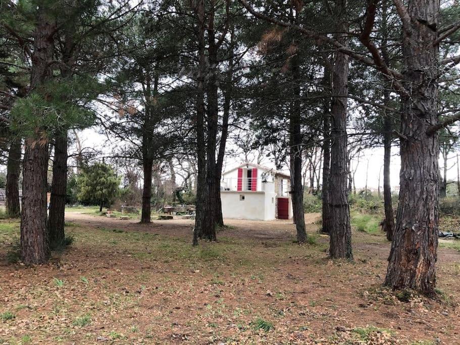 Le Cabanon De Vally Caromb ภายนอก รูปภาพ